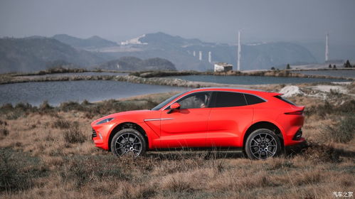 最完整的招标投标流程和步骤详解